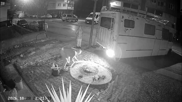 Bursa'da inanılmaz kiracı-mülk sahibi gerilimi kamerada
Gece yarısı kazmayla geldi, iş yerinin önünü böyle talan etti
4 yıl boyunca kiracıyı çıkarmak için yapmadığı kalmadı, parkeleri söküp dükkanın kapısını karavanla kapattı