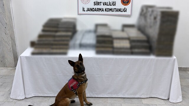 Siirt'te kömür çuvallarının arasına gizlenmiş 10 bin 250 paket kaçak sigara ele geçirildi