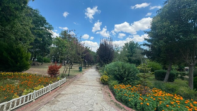 Galeri