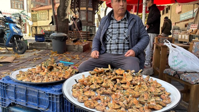 Tavşanlı'da melki mantarı hareketliliği başladı
Yüksek kesimlerden toplanarak satışa sunulan mantarın kilogram fiyatı 350 liradan alıcı buluyor