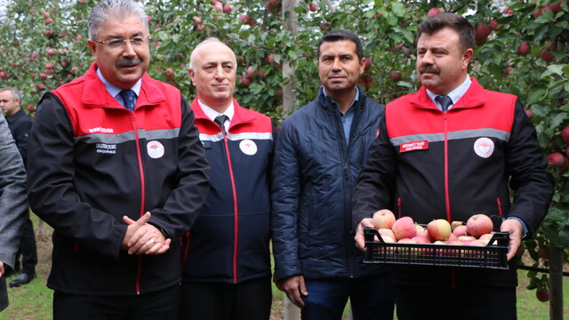 Eskişehir Valisi Yılmaz, Mahmudiye'deki meyve üretim tesisini inceledi