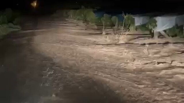 Elazığ'da sağanak sele neden oldu, üzüm bağları su altında kaldı