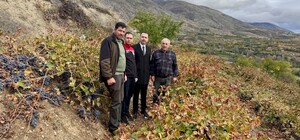 Üzümlü Kaymakamı Hökelekli üzüm bağında incelemelerde bulundu