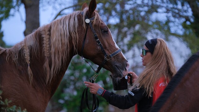 Kocaeli'de 117 binici dörtnala dayanıklılık sınavı verdi