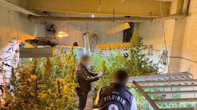 Bursa'da kasap dükkanını kenevir serasına çevirdi
Uyuşturucu üretim tesisine baskın