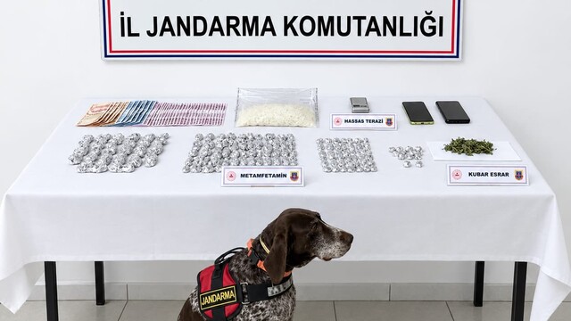 İzmir'de evlerinde uyuşturucu ele geçirilen 2 zanlı tutuklandı