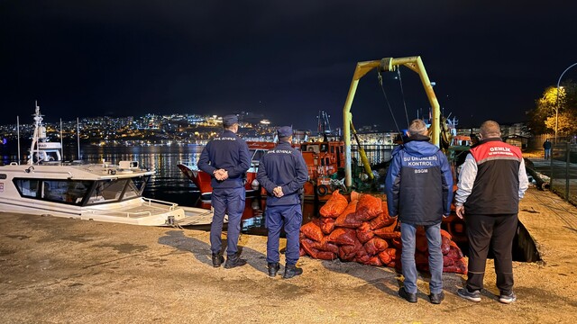 Bursa'da 350 kilo kaçak midye ele geçirildi