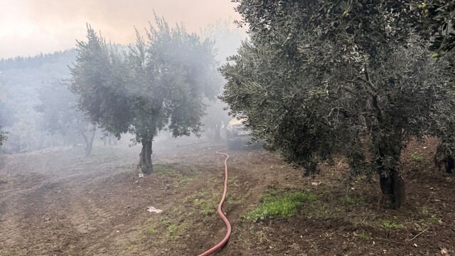 Erdek'te zeytinlik içerisindeki müstakil evde yangın çıktı